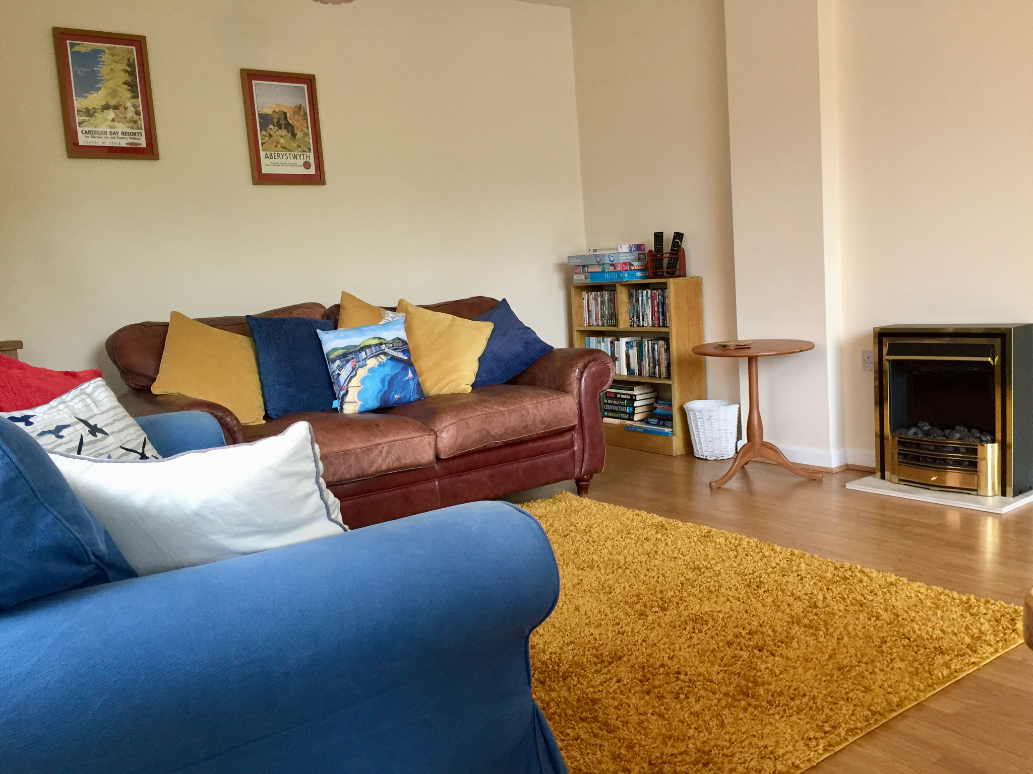 two sofas around a coal effect fire with golden rug and bookcase with games, DVDs, and books